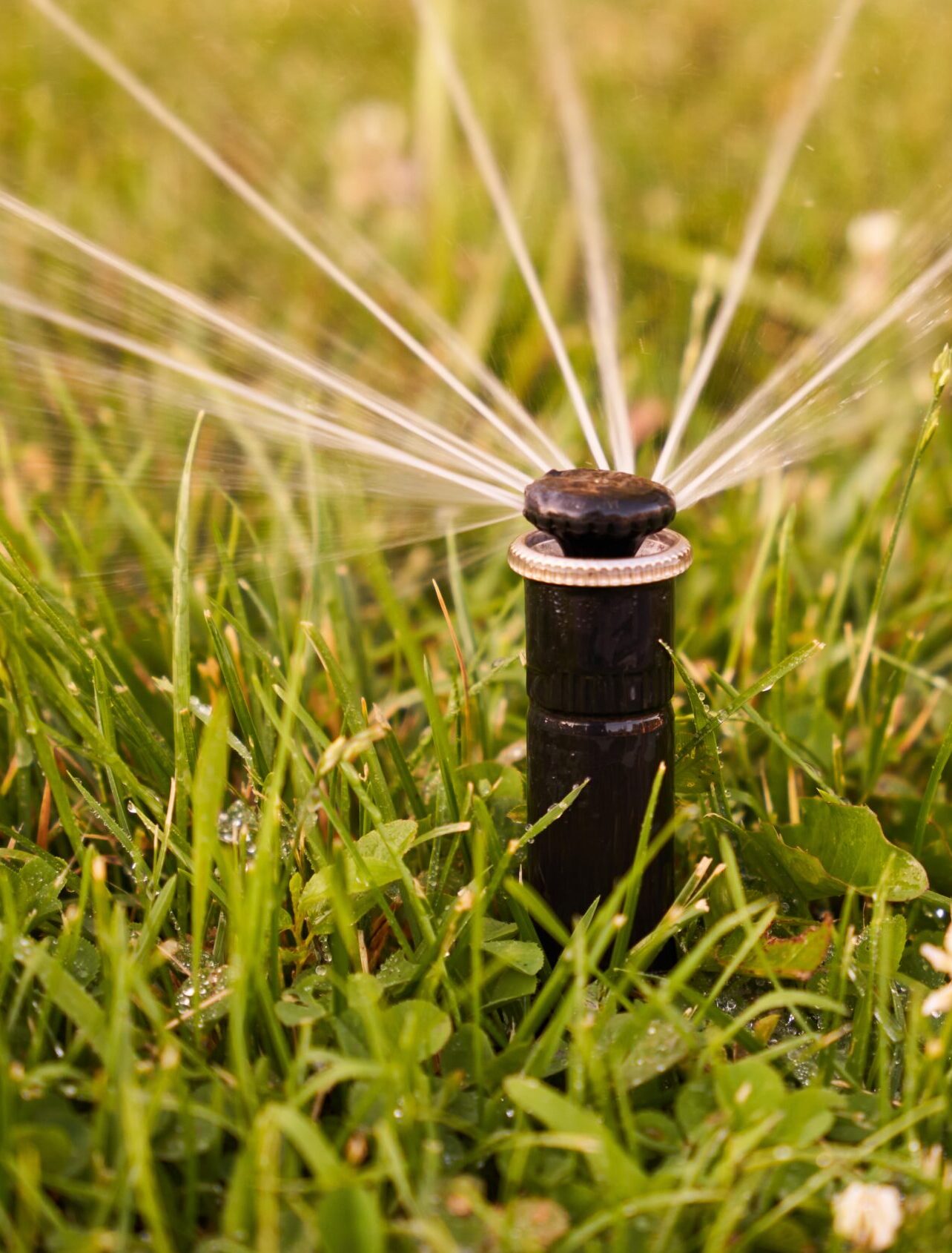 A closeup shot of tight white strings tied around a small metal pole in the grass