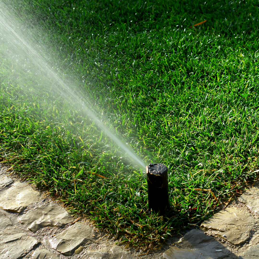sprinkler4